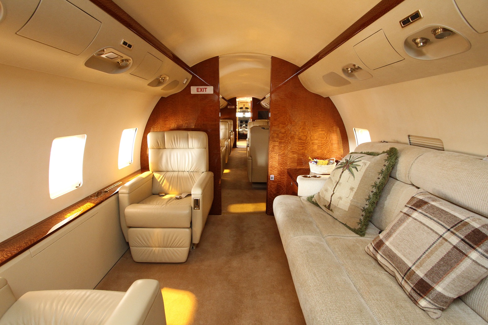 C-GDTD photo