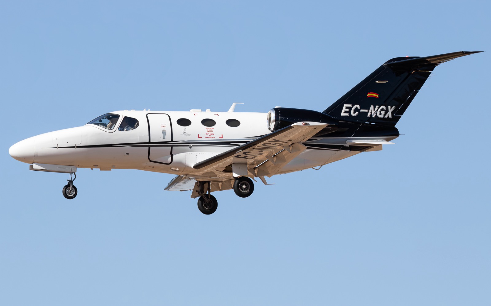 EC-NGX photo