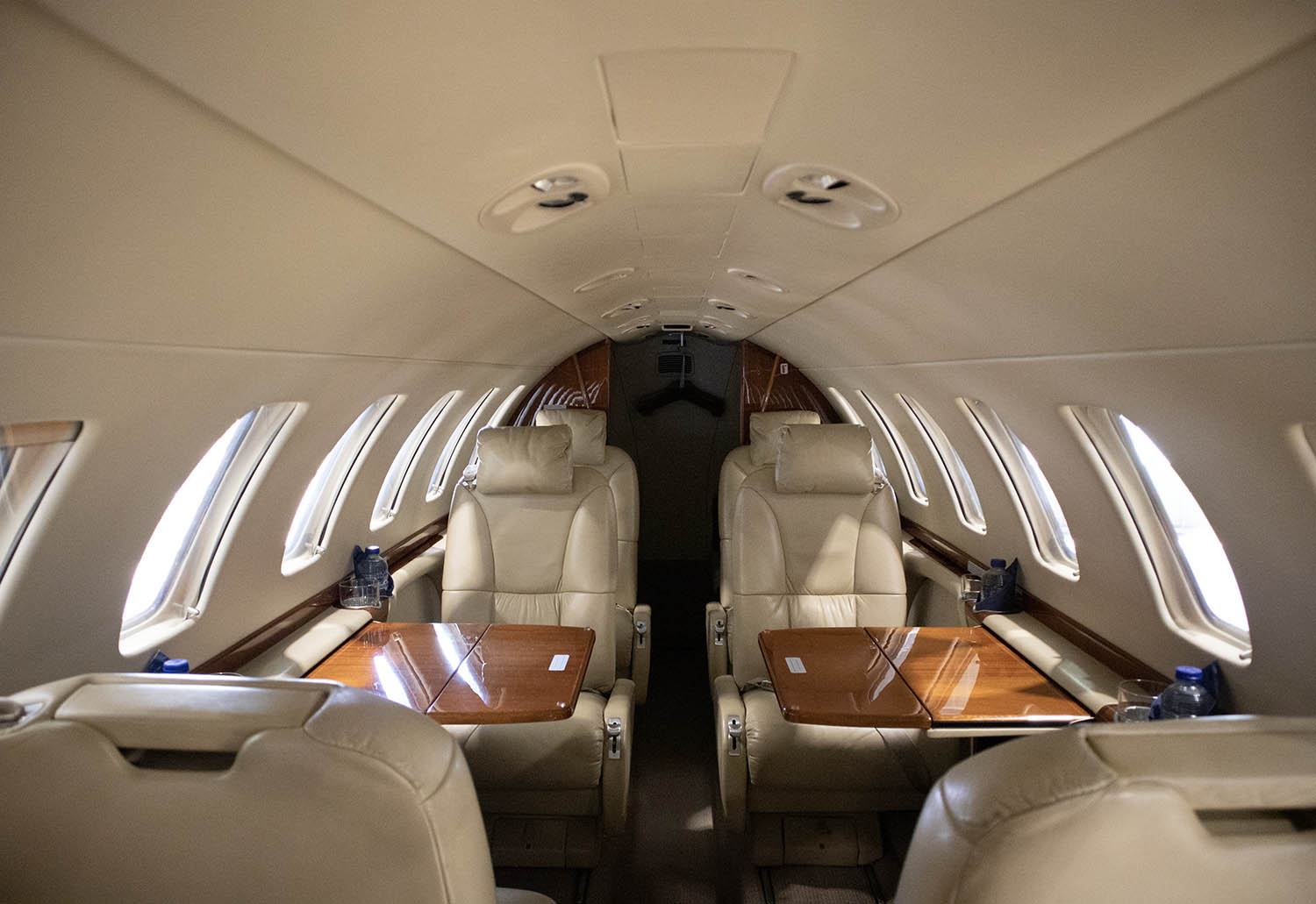 OE-GSF photo