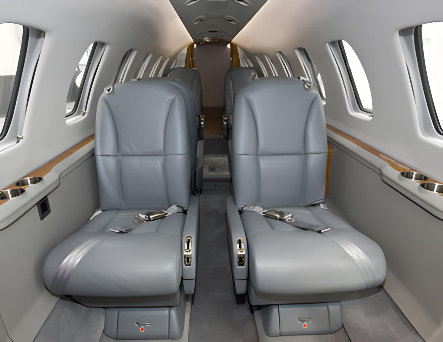 D-CAPB photo