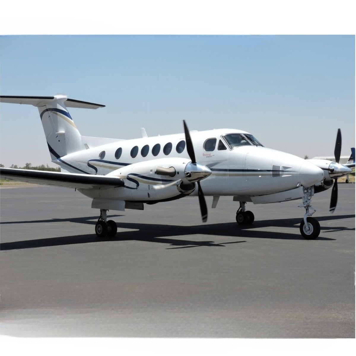 N225MW photo