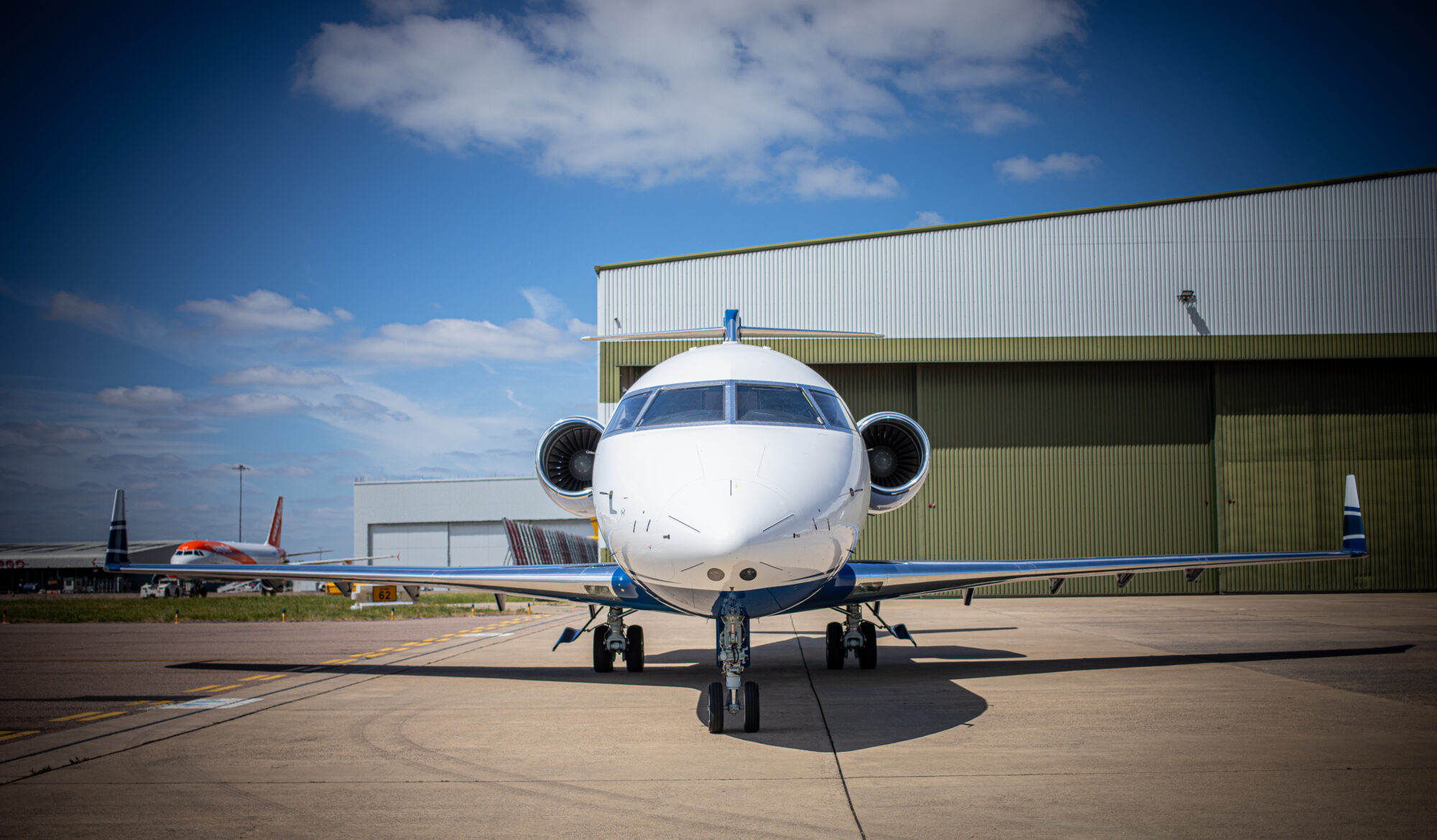T7-POL photo